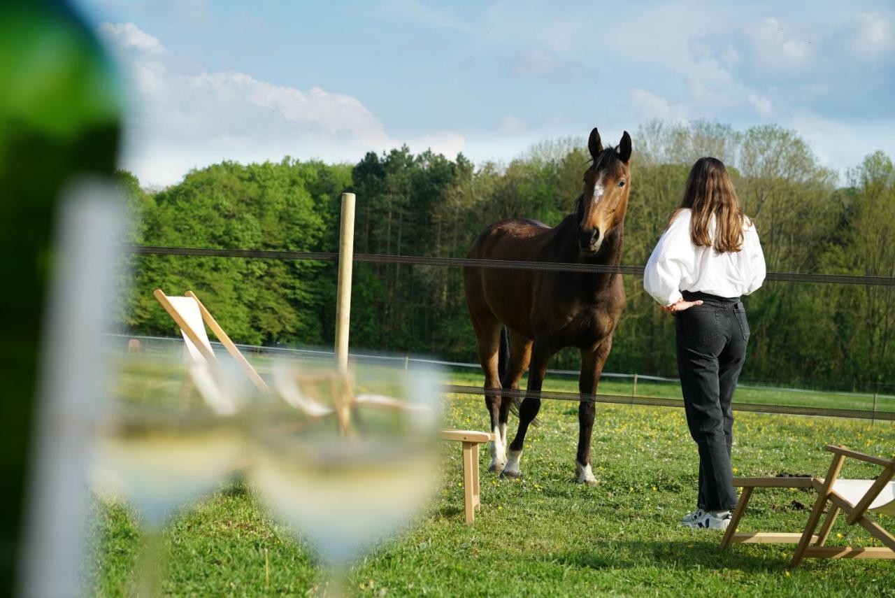 Willa Tiny House Centre Equestre - 35 Mins De Paris Chambly Zewnętrze zdjęcie